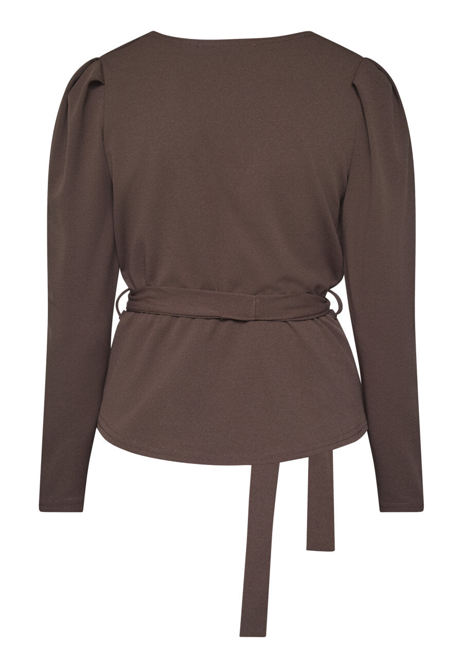 BruinetopNASA-LSBBrown__3